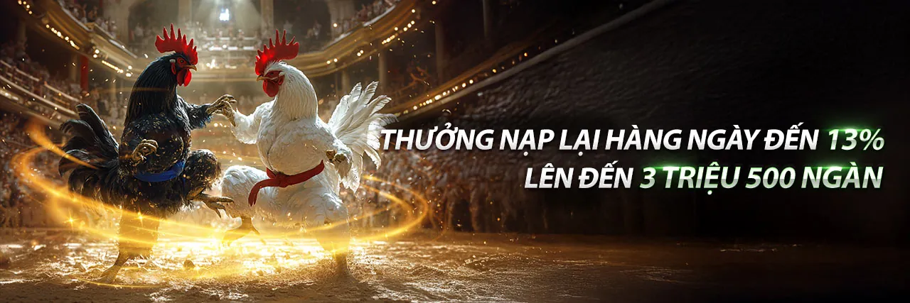 vf55 - Trải nghiệm cá cược thể thao trực tuyến đỉnh cao